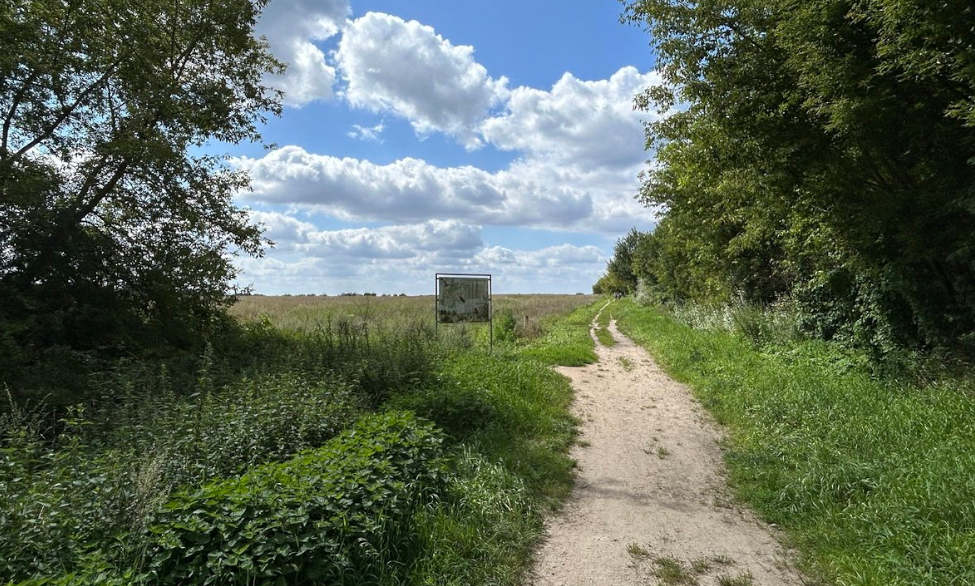 Auslaufgebiet am Waldrand