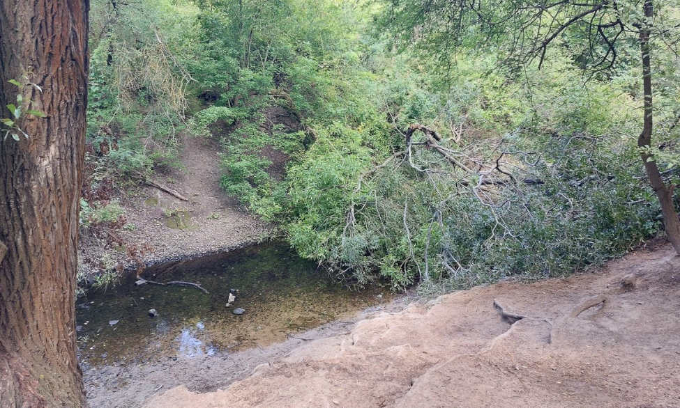 Blankenfelder Graben