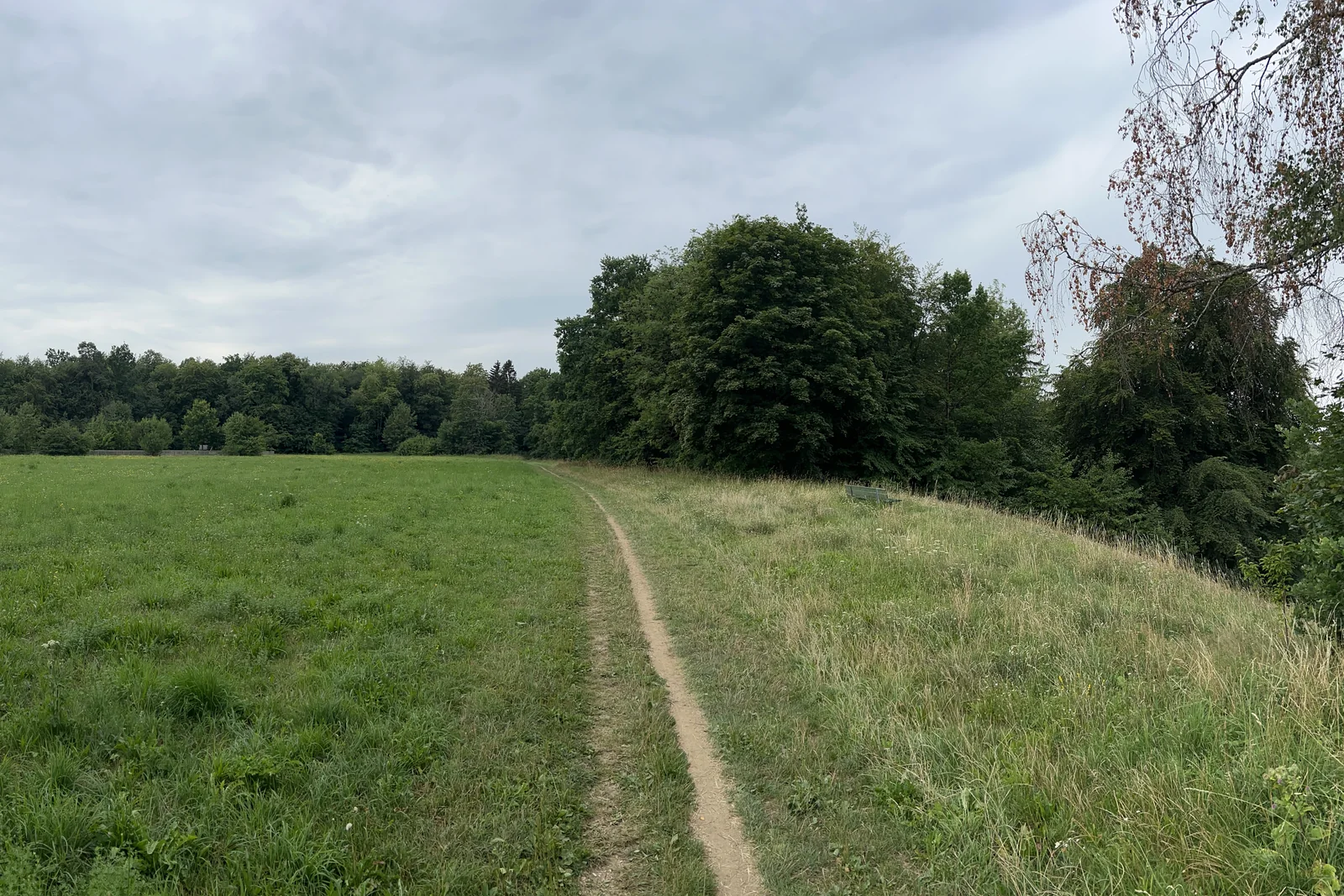 Obere Eierwiese in Grünwald mit Blick auf den Weg zur Isar