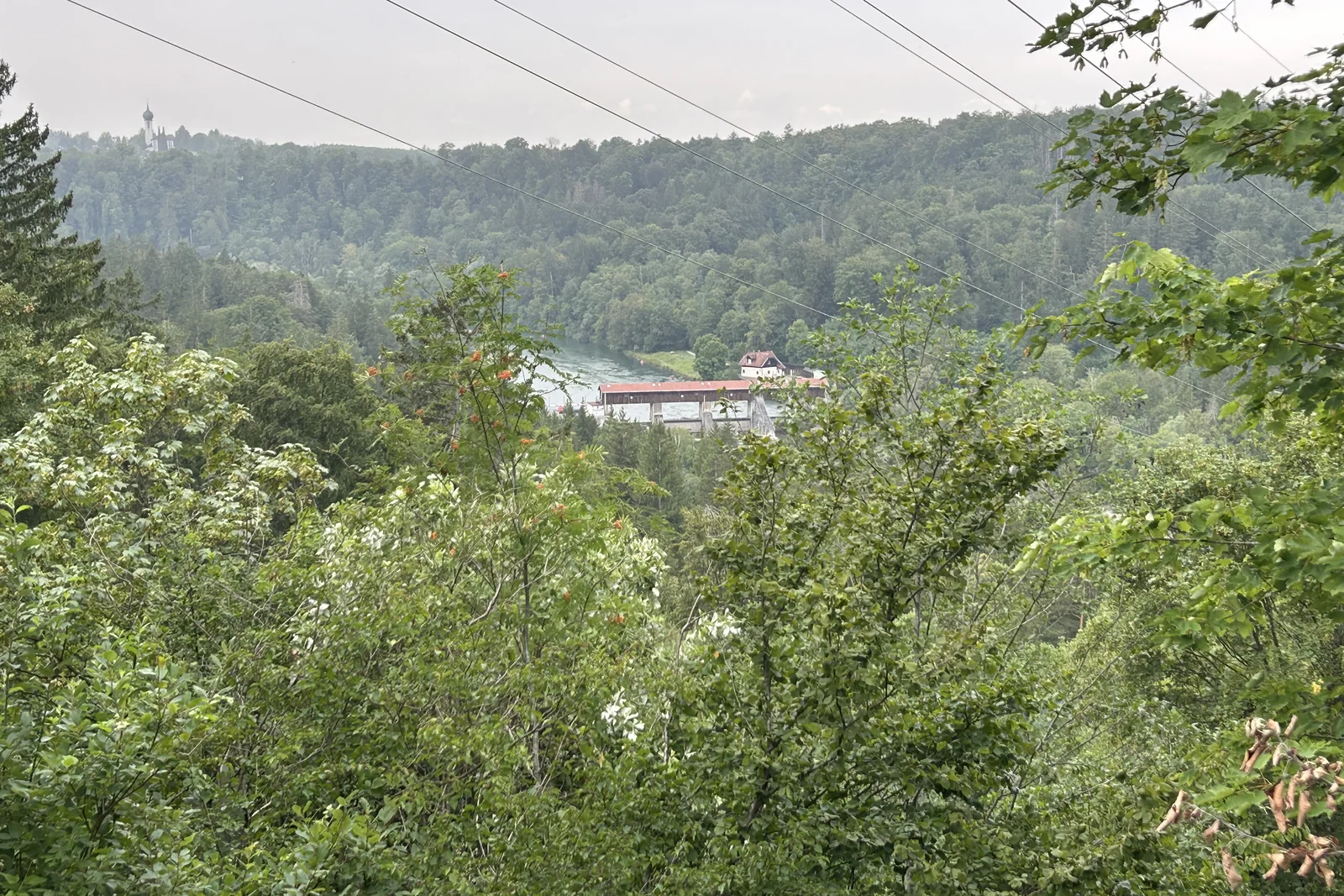 Blick durch die Bäume auf das Isarwehr Baierbrunn im Isartal