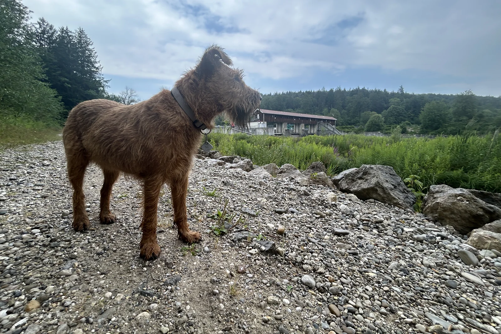 Ewan unterhalb des Kraftwerks Baierbrunn mit Blick auf den Schlauchbooteinstieg zur Isar