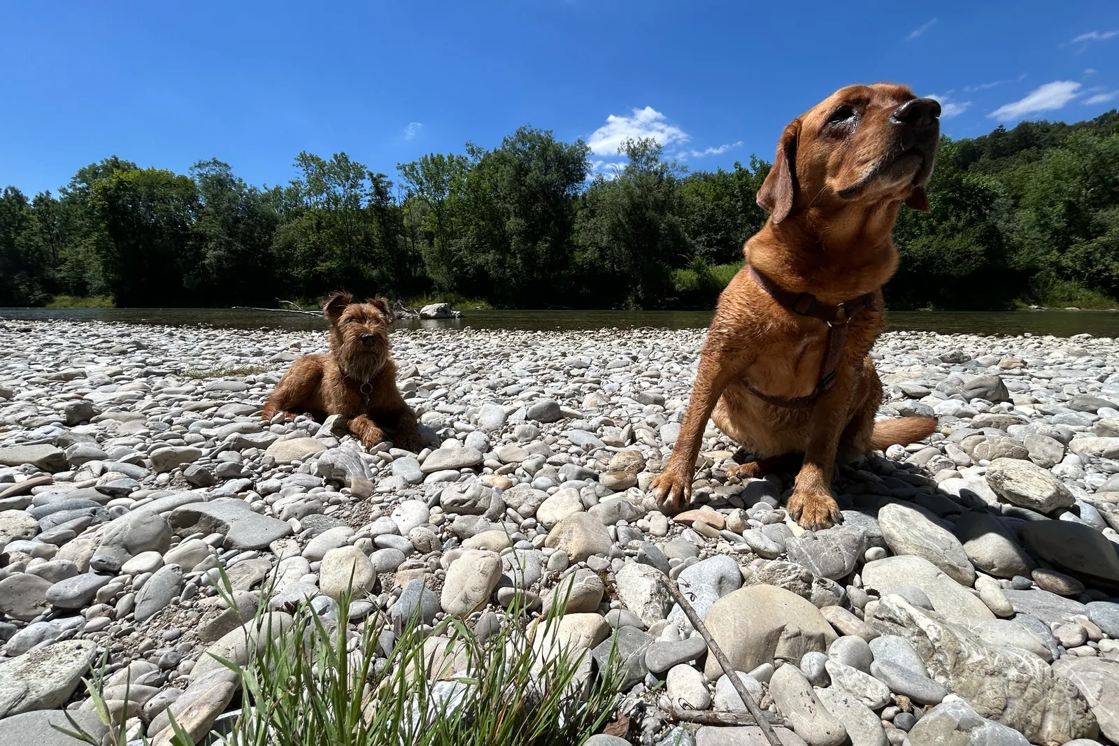 Ewan und Finu sitzen am Kiesufer der Isar bei Grünwald