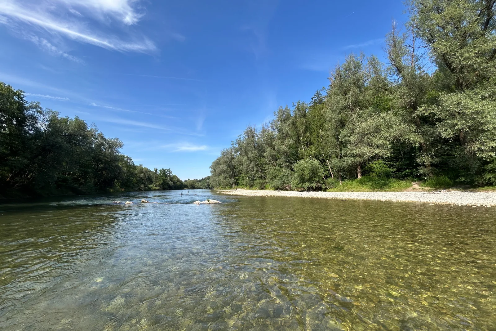 Isar bei Grünwald mit klarem Wasser und dicht bewaldeten Ufern