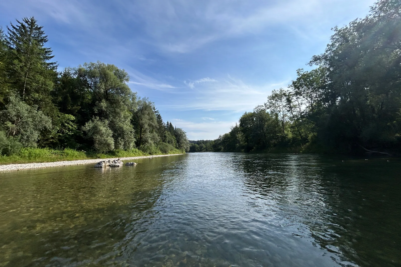 Blick auf die Isar zwischen den bewaldeten Ufern bei Grünwald
