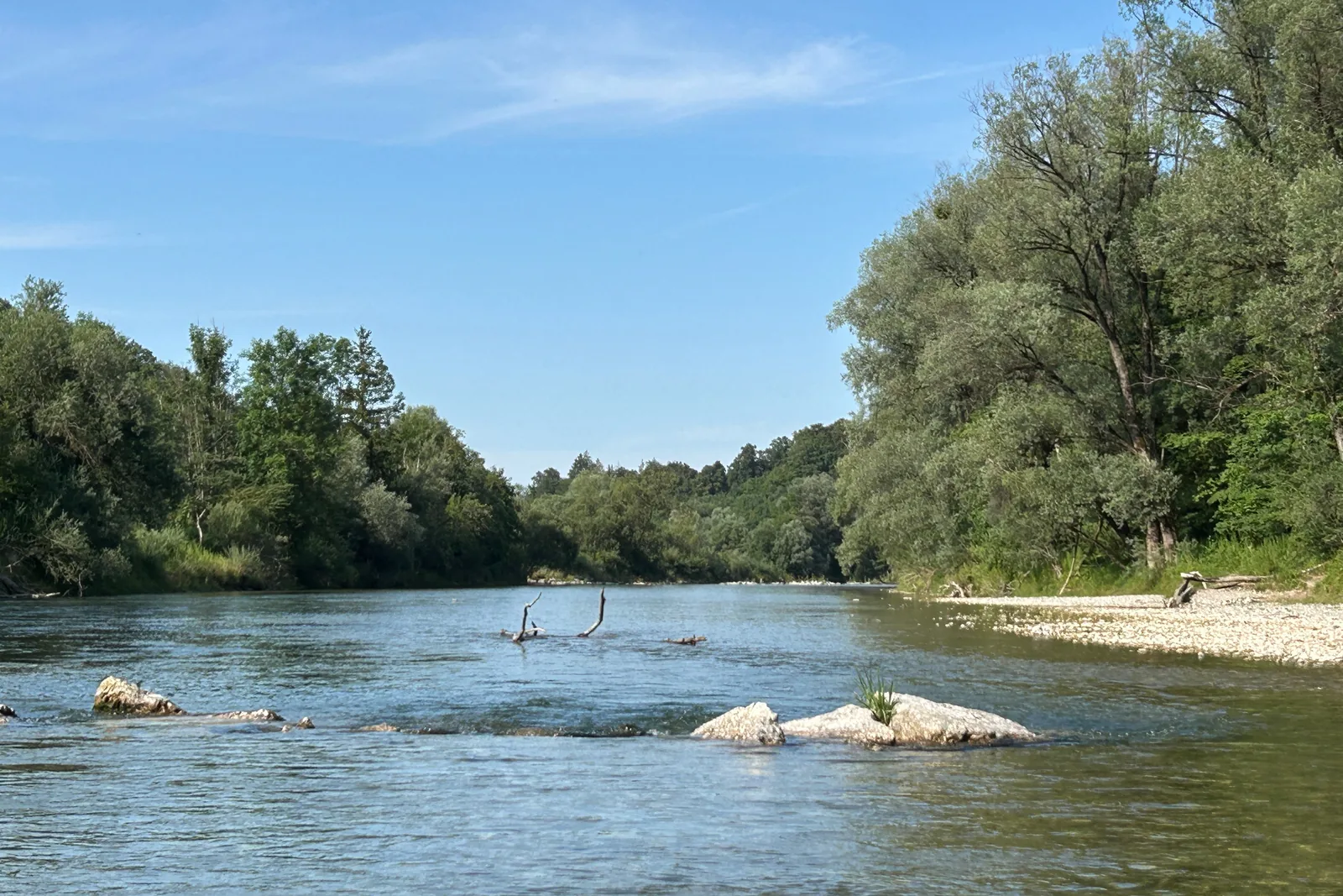 Felsen im Wasser der Isar zwischen den bewaldeten Ufern bei Grünwald