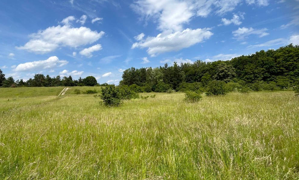 Landschaft am See