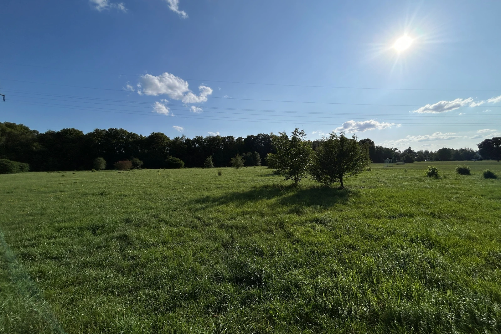 Wiese an der Südwestseite des Pasinger Stadtparks in München-Pasing