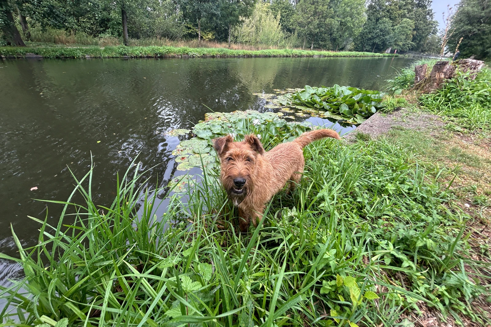 Südlicher Kanal am Westeingang des Nymphenburger Schlossparks