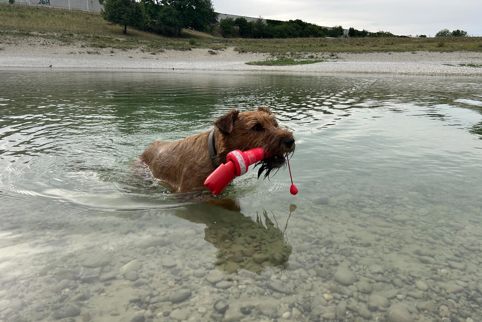 Ewan mit seinem Leuchtturm im Hundesee Allach-Untermenzing