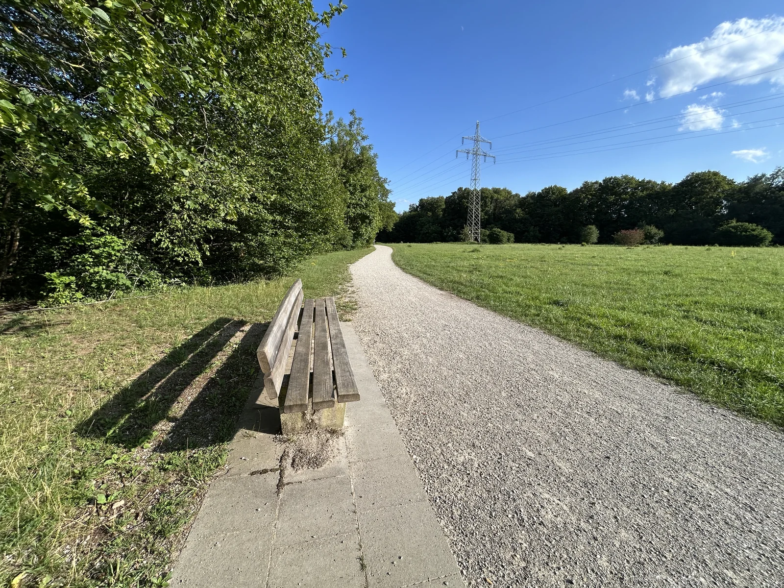 Spazierweg mit Wiese südlich der Hundebadestelle im Pasinger Stadtpark