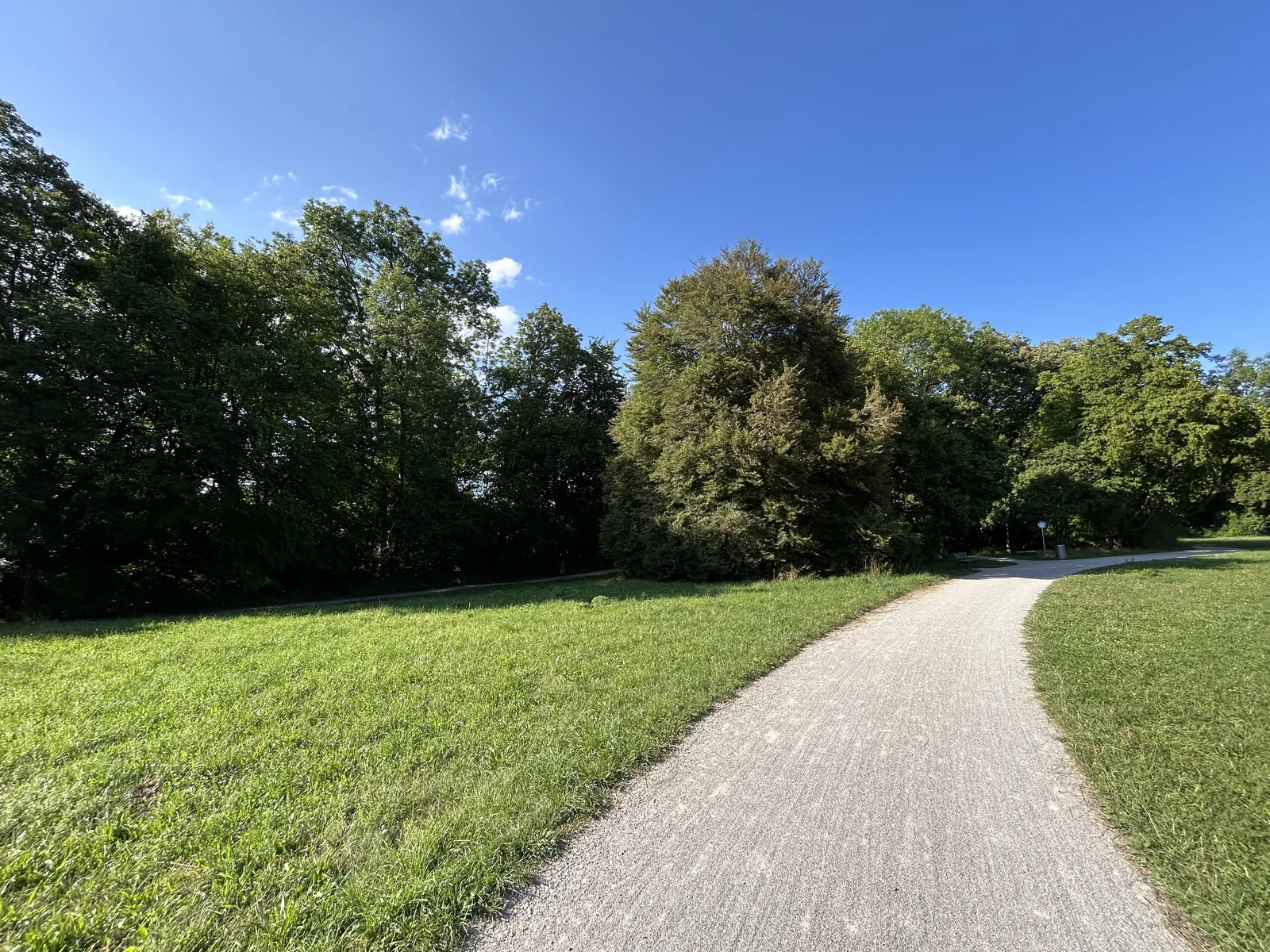 Breiter Spazierweg entlang einer Wiese im Pasinger Stadtpark