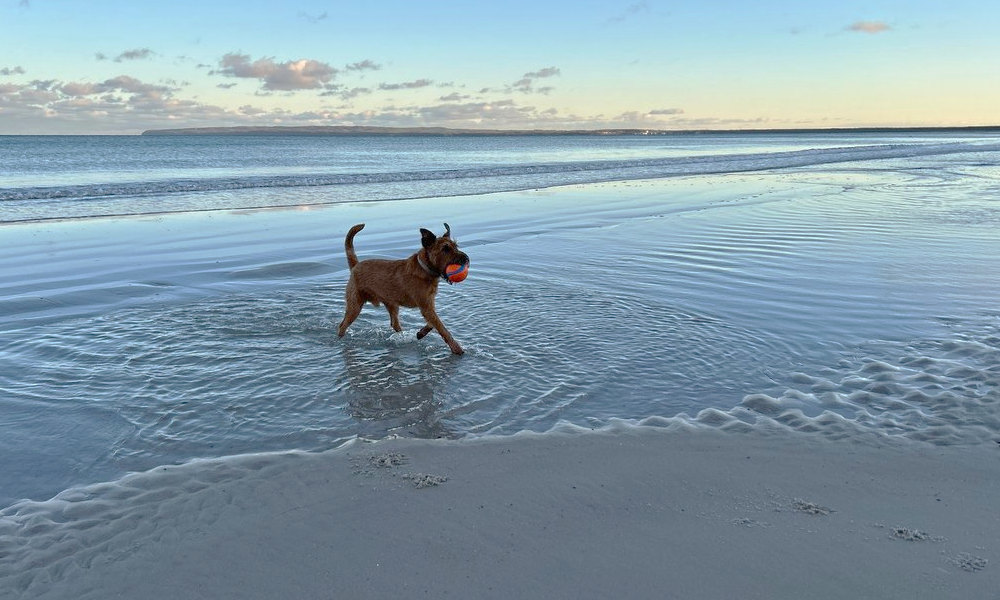 Action mit Ball am Strand