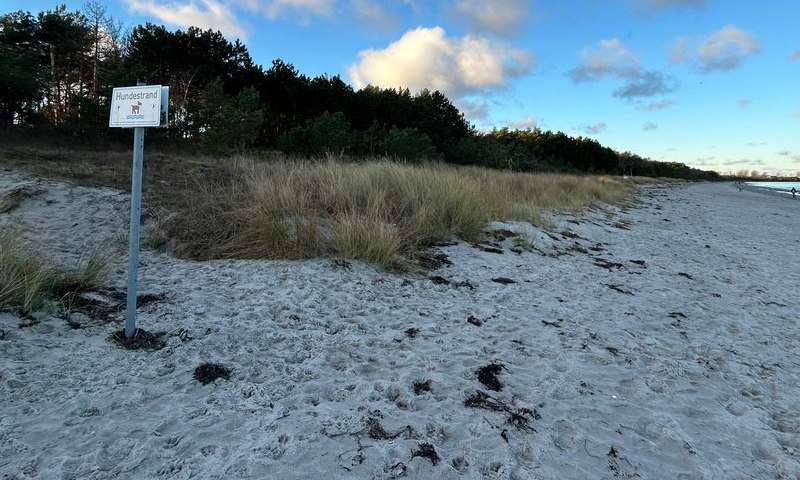 Blick aufs Meer