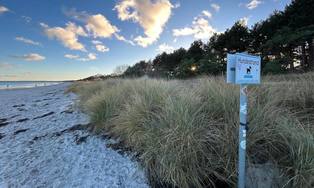 Anfang Hundestrand
