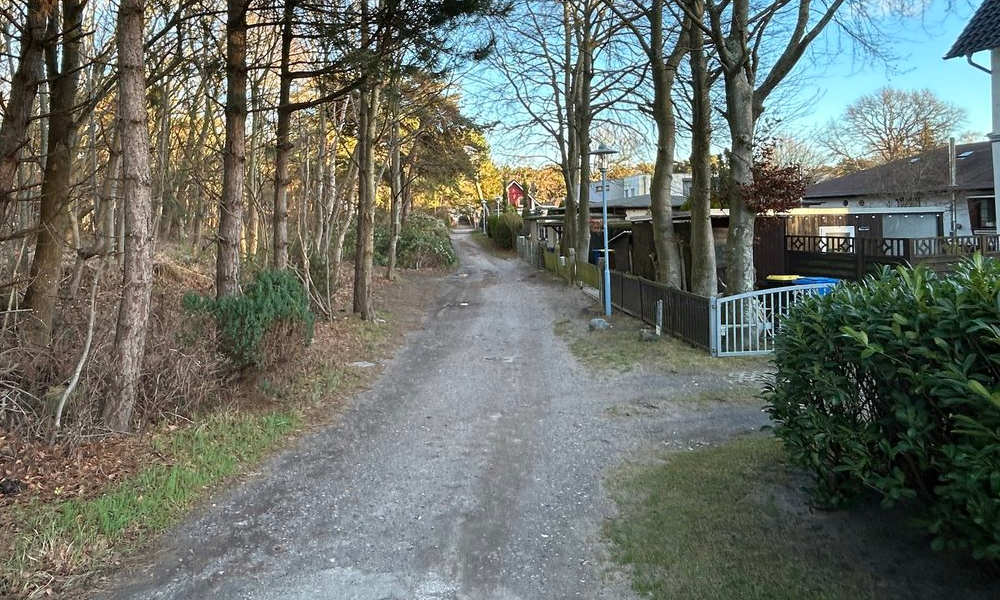 Weg zum Hundestrand