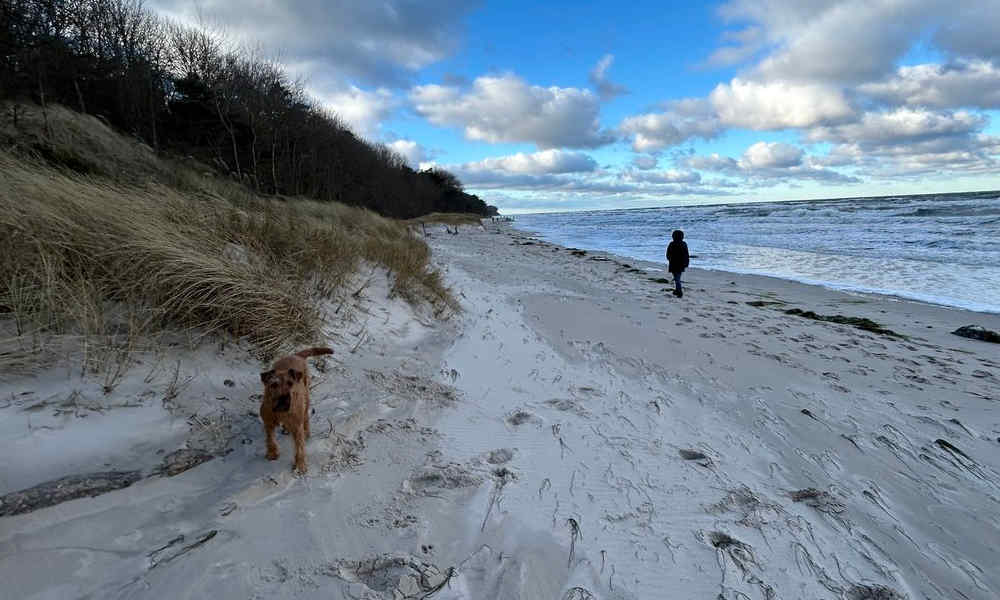 Hundestrand Nonnevitz