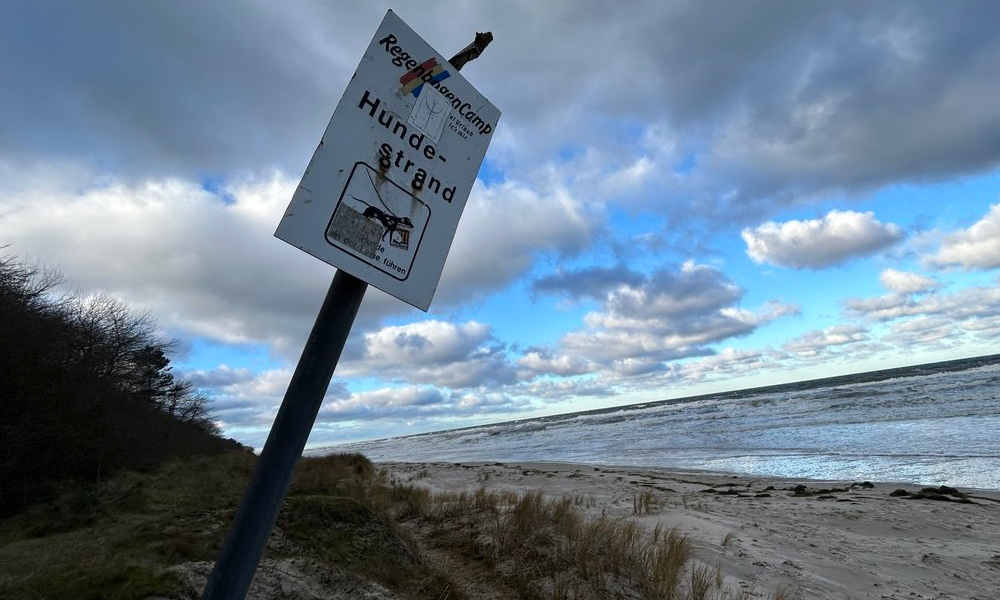 Anfang offizeller Hundestrand