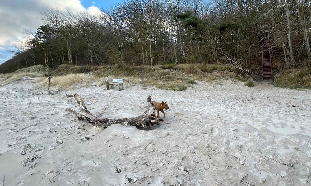 Top Hundestrand mit Sitzgelegenheit