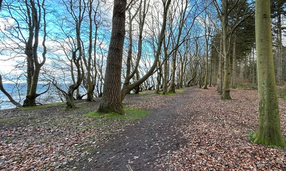 Hochuferweg / Waldweg